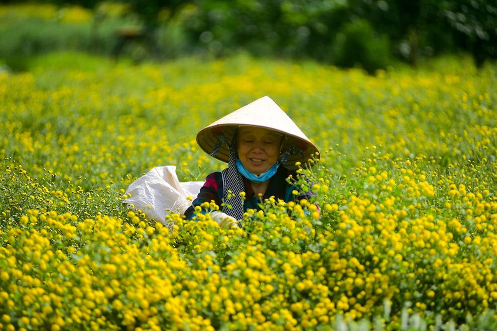 cuc chi hung yen-21 cuc chi hung yen-21