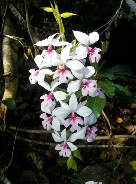 Các thành viên
  trong đoàn 20 bạn trẻ sau khi được đưa xuống núi Bà Đen. Ảnh: Thu Đông