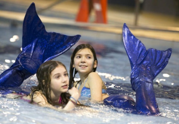 “Những cái đuôi cá” được treo thành
dãy