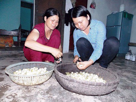 Thạc sĩ Mỹ - Úc về Việt Nam làm hương, làm mắm - 2 Chị Hằng chuẩn bị cà làm mắm cùng mẹ. (Ảnh: Báo Quảng Trị)