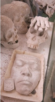 Một gương mặt của người tiền sử đã được phục dựng.