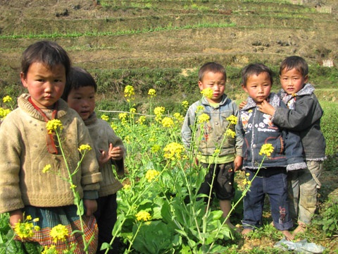 Phía sau nỗi buồn ngồi nhầm lớp  - 1 Vận
động trẻ em dân tộc đến trường mỗi ngày là chuyện không dễ