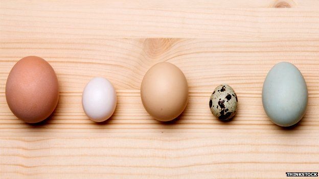 Hồng Kông: Trẻ 1 tuổi phỏng vấn vào mẫu giáo - 4 Cha mẹ và các bé ở một
buổi học kỹ năng phỏng vấn