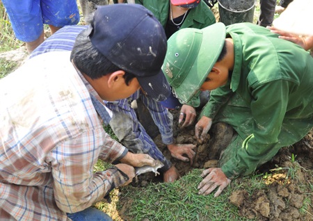 Săn chuột đồng  - 13