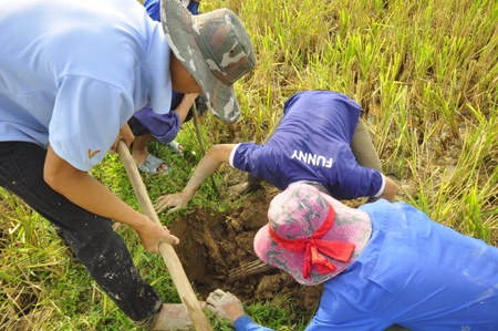 Săn chuột đồng  - 9