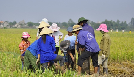 Săn chuột đồng  - 2
