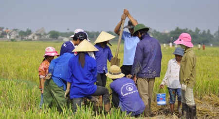 Săn chuột đồng  - 3