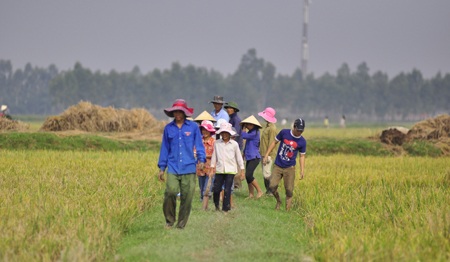 Săn chuột đồng  - 4