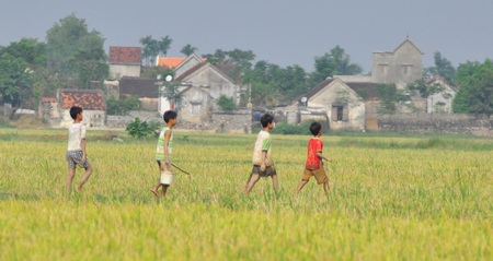 Săn chuột đồng  - 5