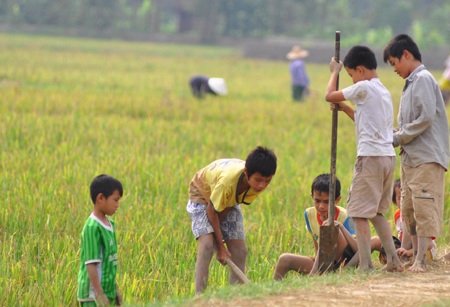 Săn chuột đồng  - 6