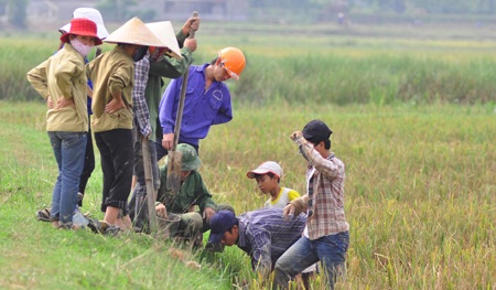 Săn chuột đồng  - 7