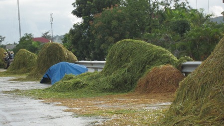 Tuốt, phơi rơm, lúa trên đường... hiểm họa khó lường - 11