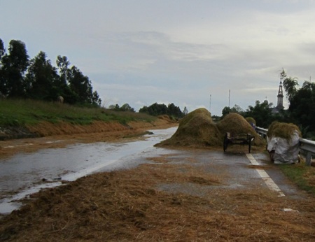 Tuốt, phơi rơm, lúa trên đường... hiểm họa khó lường - 14