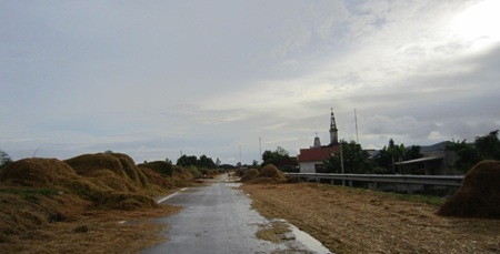 Tuốt, phơi rơm, lúa trên đường... hiểm họa khó lường - 15