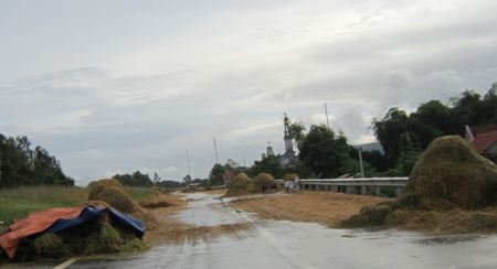 Tuốt, phơi rơm, lúa trên đường... hiểm họa khó lường - 16