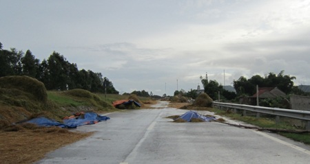 Tuốt, phơi rơm, lúa trên đường... hiểm họa khó lường - 17