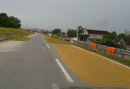 Tuốt, phơi rơm, lúa trên đường... hiểm họa khó lường - 18