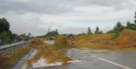 Tuốt, phơi rơm, lúa trên đường... hiểm họa khó lường - 6