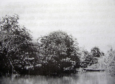 Những chuyến hàng ngược xuôi con đường Hồ Chí Minh trên biển  - 12