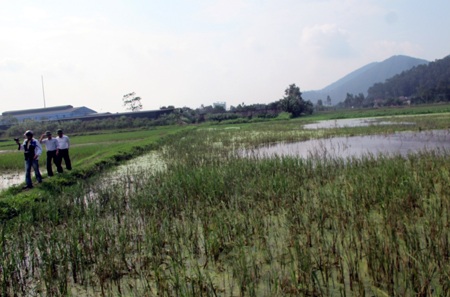 Chính quyền, người dân khốn khổ vì ô nhiễm - 3