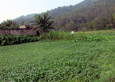 Chính quyền, người dân khốn khổ vì ô nhiễm - 2