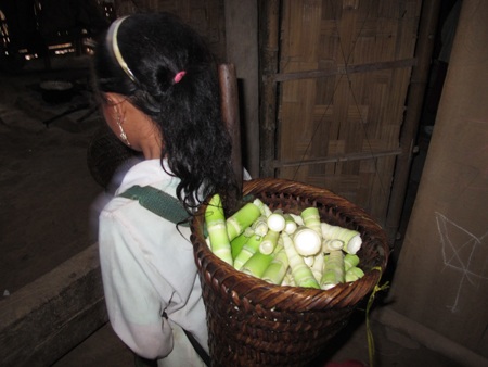 Dựng lều tranh nuôi con chữ - 7