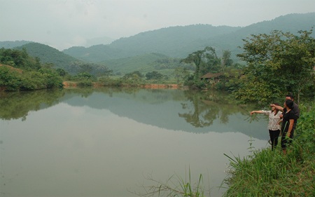 Ao cá cho thu nhập khá lớn mỗi năm.