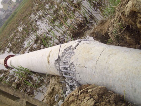 Cột điện vừa dựng đã... gãy gục - 2