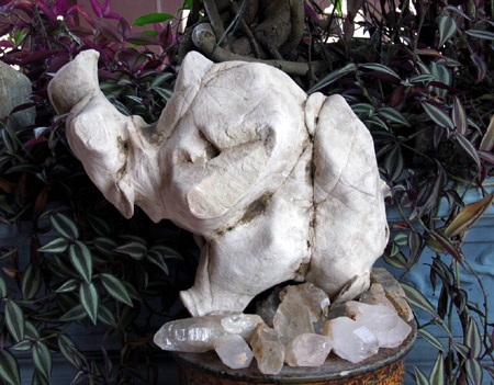 “Nhặt được” voi đá giá “khủng” - 1