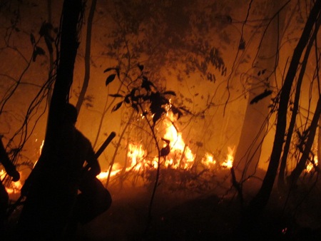 Gió to khiến việc dập tắt ngọn lửa hết sức khó khăn