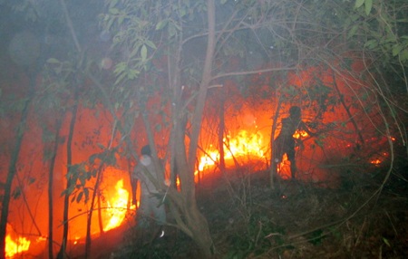 Vụ cháy rừng tại núi Dũng Quyết do người dân đi thắp hương để bén lửa