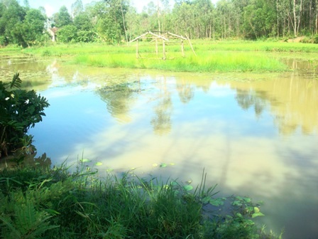 Vị trí xảy ra vụ đuối nước thương tâm