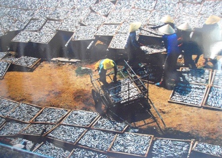 Được mùa cá của Vương Yến Vy