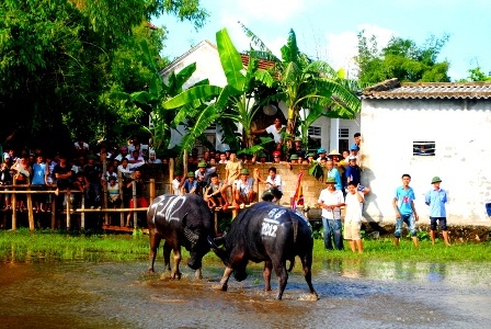 Trận đấu quyết liệt hiếm hoi của các đấu thủ đầu cơ nghiệp tại lễ hội.