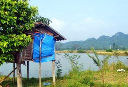 Hồ cá nơi em Vũ tử vong (Ảnh: Tín Sơn)