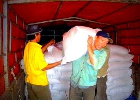 Phân bổ 1.000 tấn gạo cứu đói cho nhân dân vùng lũ