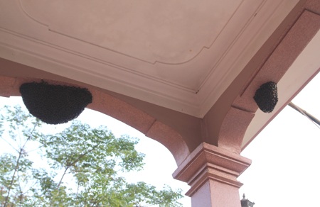 Theo các cụ cao niên thì 