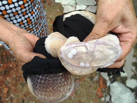 Bên trong các chiếc áo ngực đều chứa các bịch dung dịch với các hạt nhựa trắng, cứng