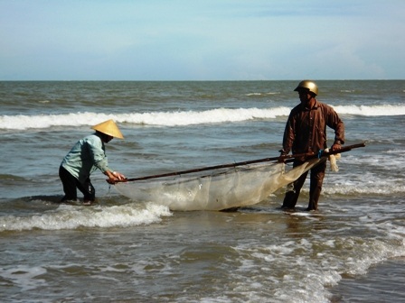 Dùng lưới vây lộc biển