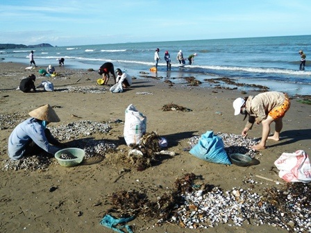 Hằng trăm người dân đổ xô đi nhặt sò