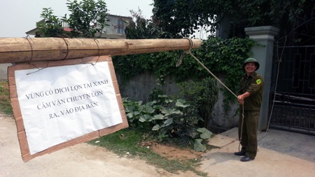 Chốt kiểm dịch bệnh tai xanh được lập tại xã Diễn Kim, huyện Diễn Châu (Ảnh: Nguyễn Duy)