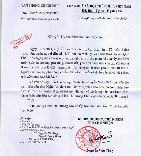 Có rất nhiều cây ở Lâm trường Cô Ba bị người dân chặt phá.