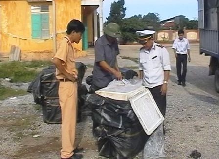 Bắt... nửa tấn chân trâu "trôi nổi" trên xe khách - 1 Bắt xe khách chở 500kg chân trâu không rõ nguồn gốc
