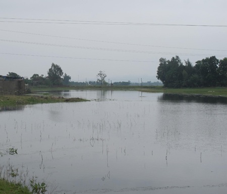 Lội xuống sông chơi, hai cháu bé chết đuối thương tâm - 1 Đoạn sông Cụt, nơi cháu Quỳnh và cháu Linh Đan bị sẩy chân chết đuối.