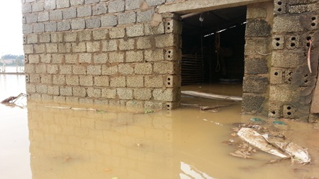 Nhiều hộ dân ở cạnh cánh đồng này nước đang ngập.