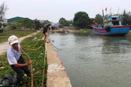 Ngư dân cố định tàu vào âu thuyền để trú bão