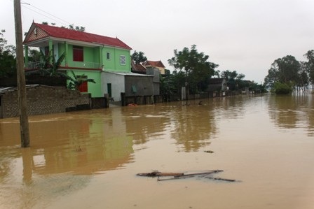Mưa lớn trong 3 ngày qua khiến mực nước sông Lam dâng nhanh, gây ngập lụt tại một số vùng hạ lưu