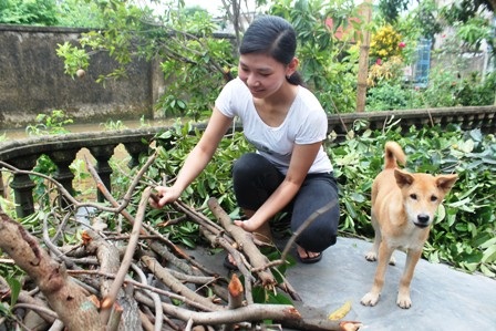 Em Bùi Thị Thảo Hương - tân thủ khoa khối D2, trường ĐH Ngoại thương. (Ảnh: Doãn Hòa)
