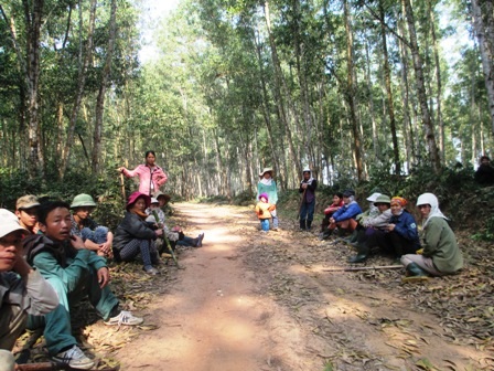 Người dân tập trung đi phát, bóc vỏ keo lâm trường Đồng Hợp.