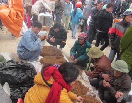 Cánh đàn ông thử thuốc lào